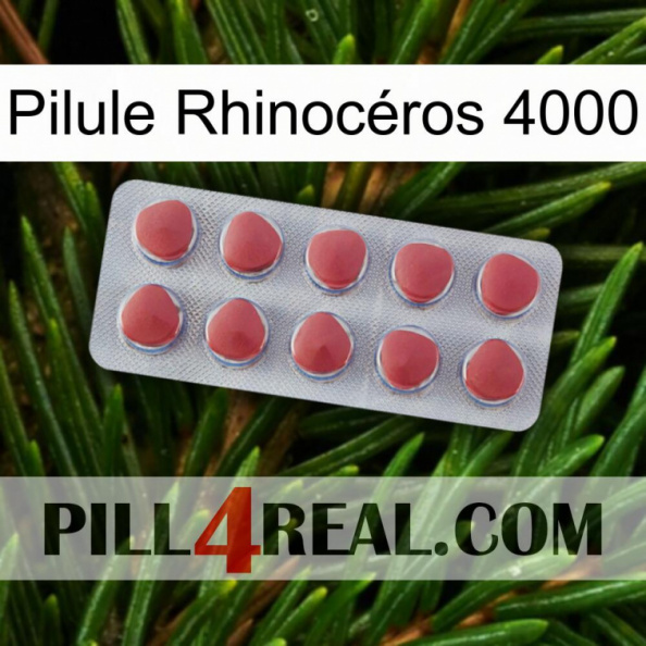 Pilule Rhinocéros 4000 18